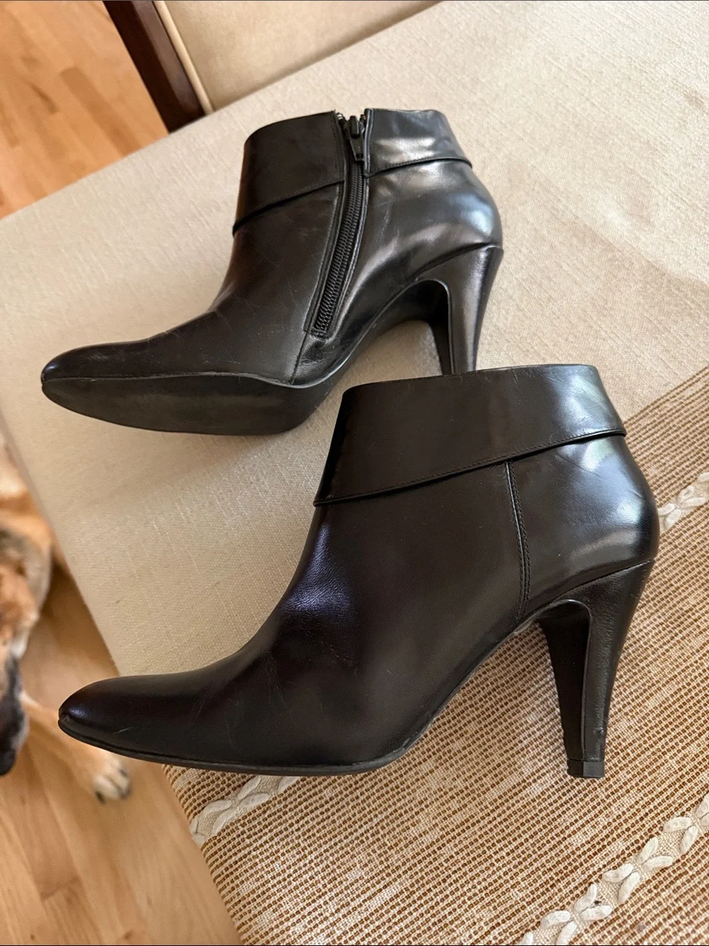 Alfani stylish black